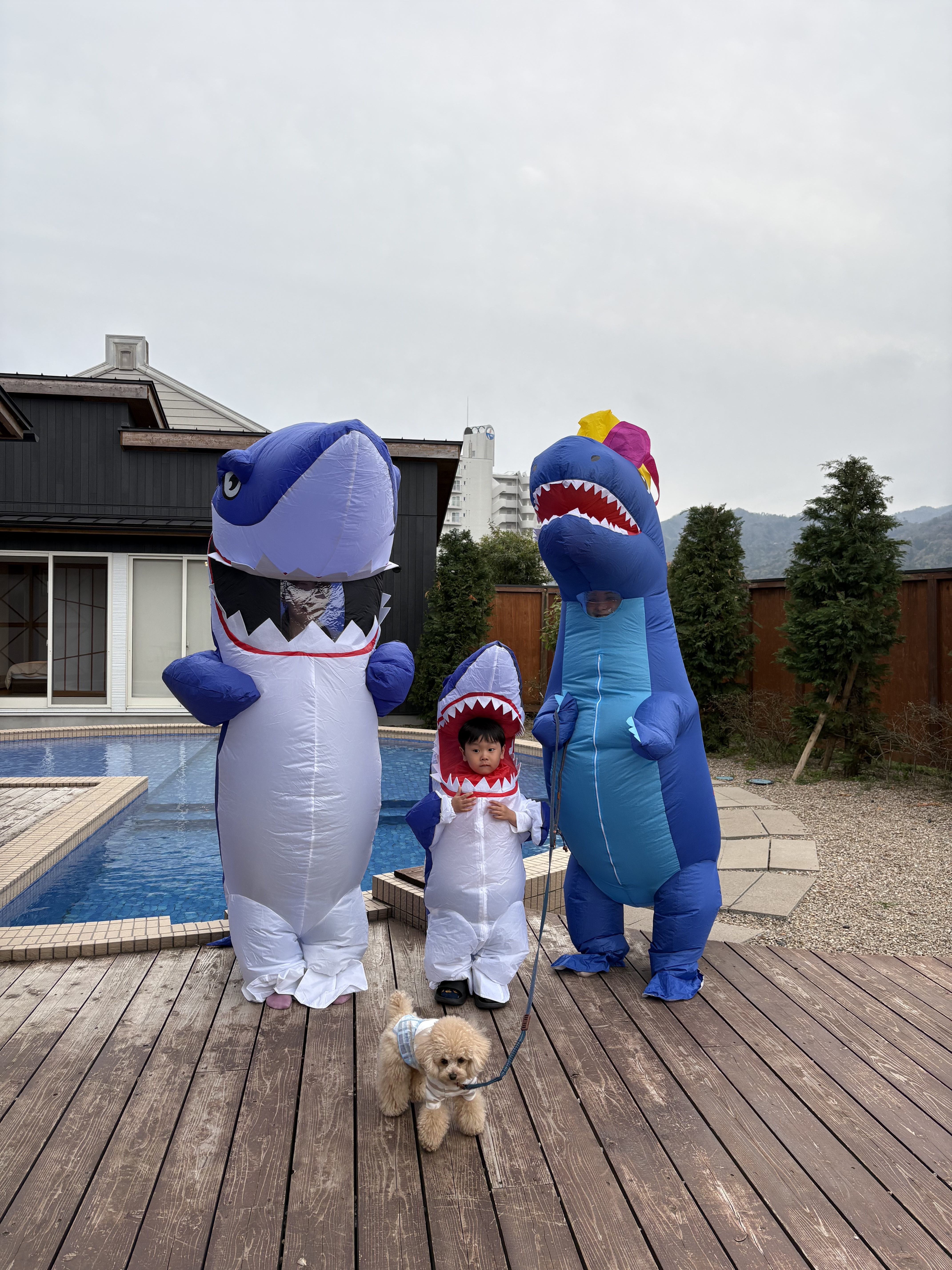Dinosaur Family
